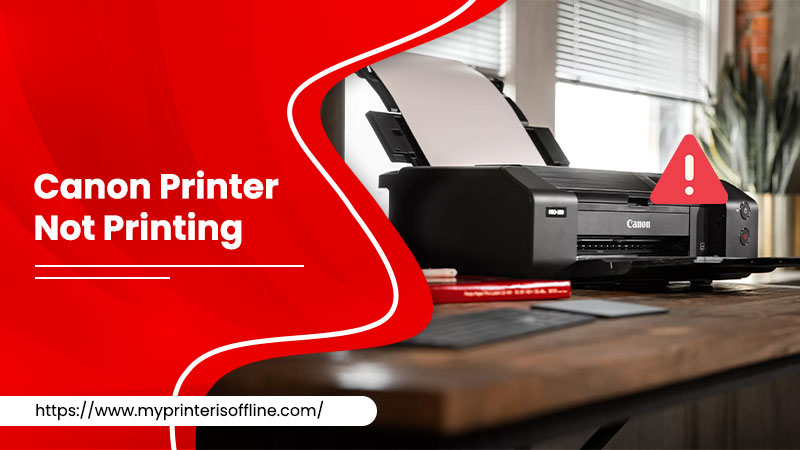 Canon-printer-not-printing